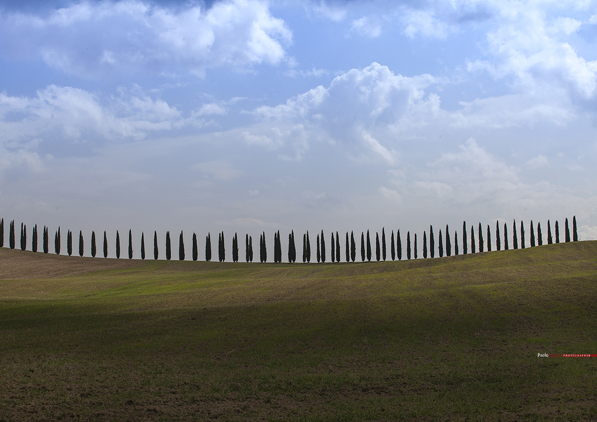 ©Paolo Liggeri - Siena
